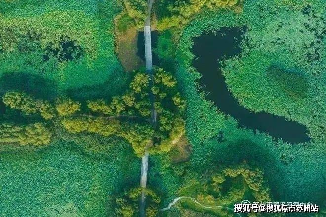 楼盘评测-鹿溪雅园售楼中心详情户型 小区配套凯发国际K8鹿溪雅园售楼处欢迎您 2025(图4)